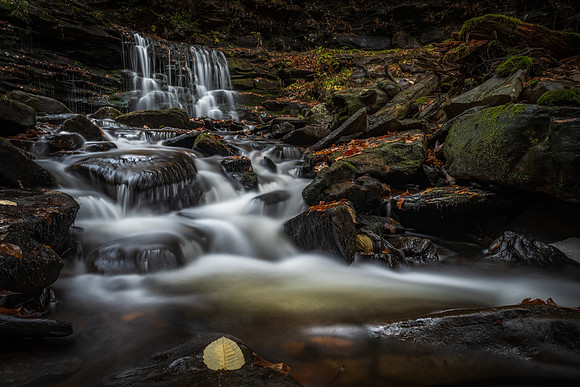 Ricketts Glen State Park, Benton, PA